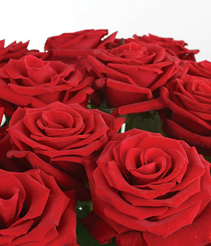 click here to view other pictures