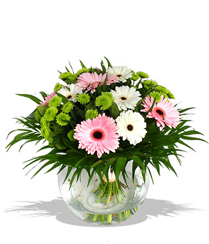 click here to view other pictures