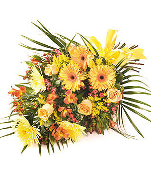 click here to view other pictures