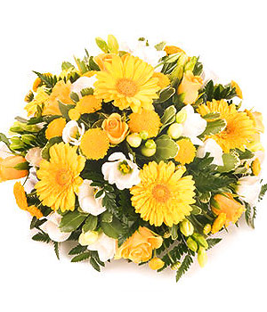 click here to view other pictures