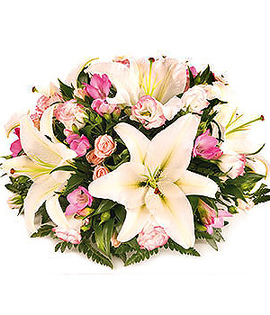 click here to view other pictures