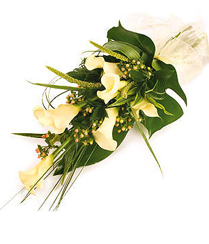 click here to view other pictures