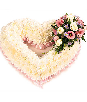 click here to view other pictures