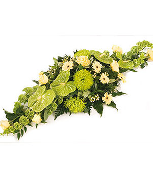 click here to view other pictures