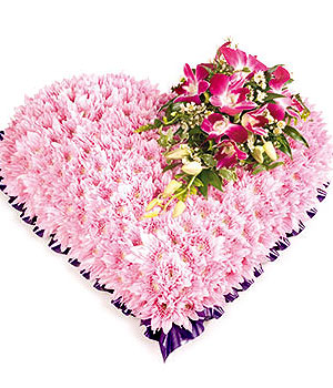 click here to view other pictures