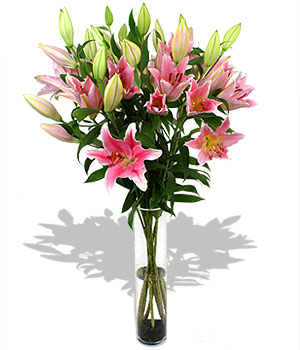 click here to view other pictures