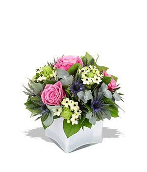 click here to view other pictures