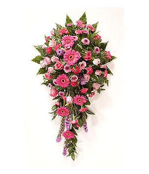 click here to view other pictures