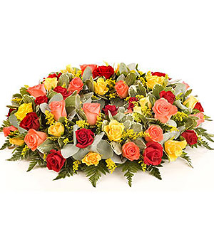 click here to view other pictures