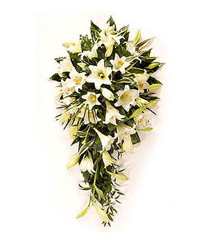 click here to view other pictures