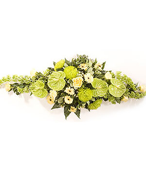 click here to view other pictures