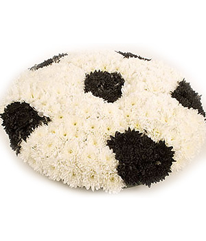 click here to view other pictures