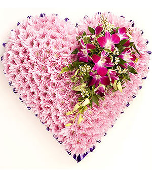 click here to view other pictures