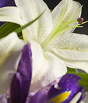 click here to view other pictures