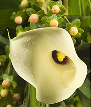 click here to view other pictures