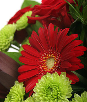 click here to view other pictures