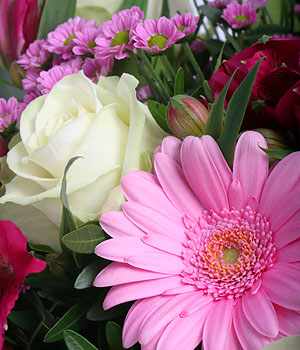 click here to view other pictures