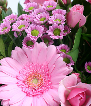 click here to view other pictures