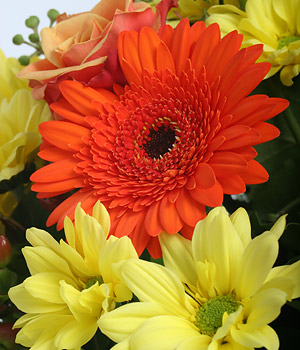 click here to view other pictures