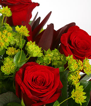 click here to view other pictures