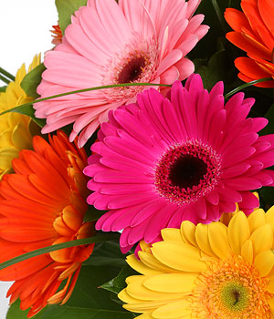 click here to view other pictures