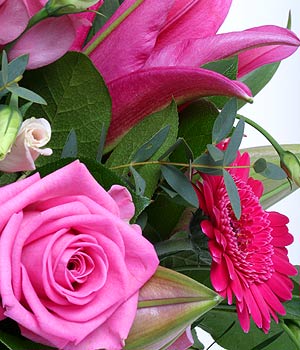 click here to view other pictures