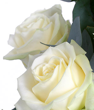 click here to view other pictures