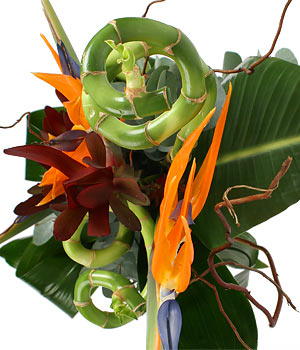 click here to view other pictures