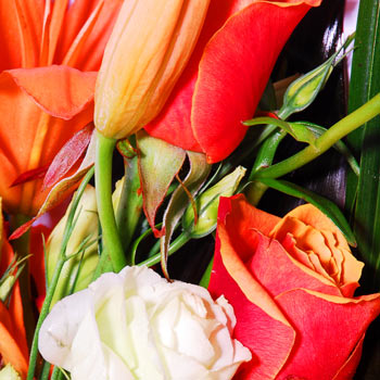 click here to view other pictures