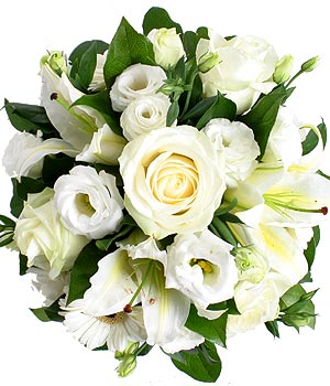 click here to view other pictures