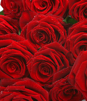 click here to view other pictures