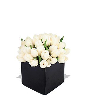 click here to view other pictures