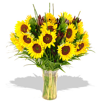 click here to view other pictures