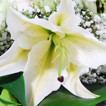 click here to view other pictures